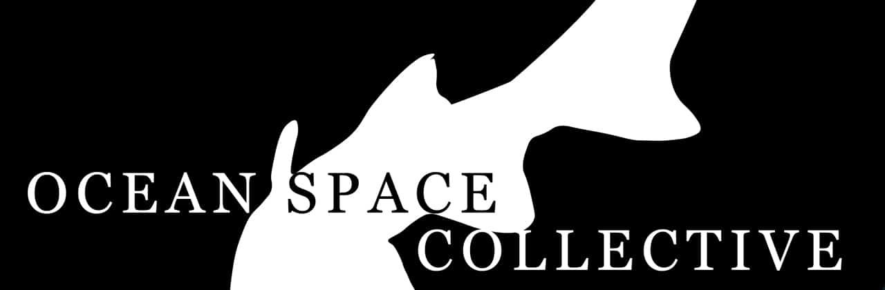 Image Ocean Space Collective